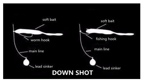 DOWN SHOT RIG FOR BASS FISHING-TERMINALPRO