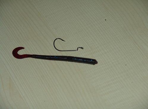 how to rig the worm to fishing hook-8
